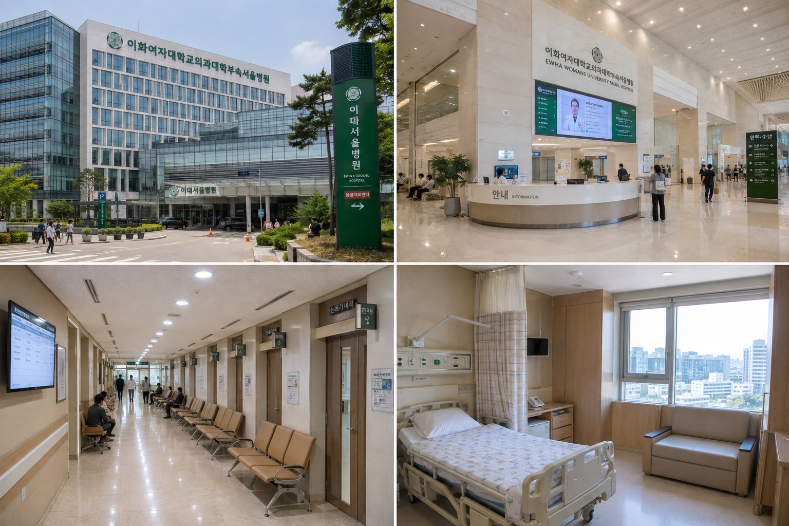 이화여자대학교의과대학부속서울병원